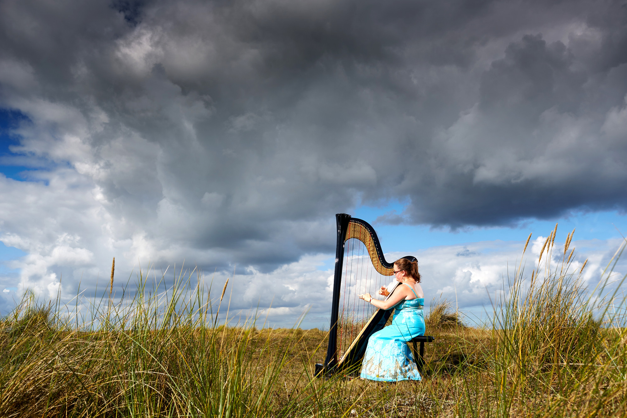 Rebecca Barnes Harpist