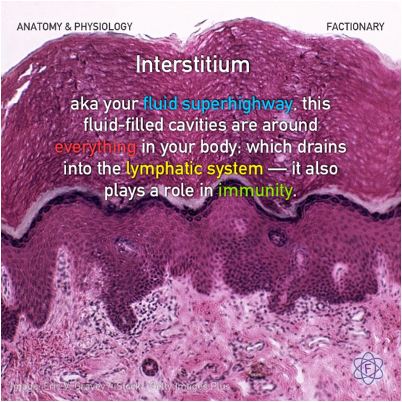 pinterest.com: Anatomy & Physiology