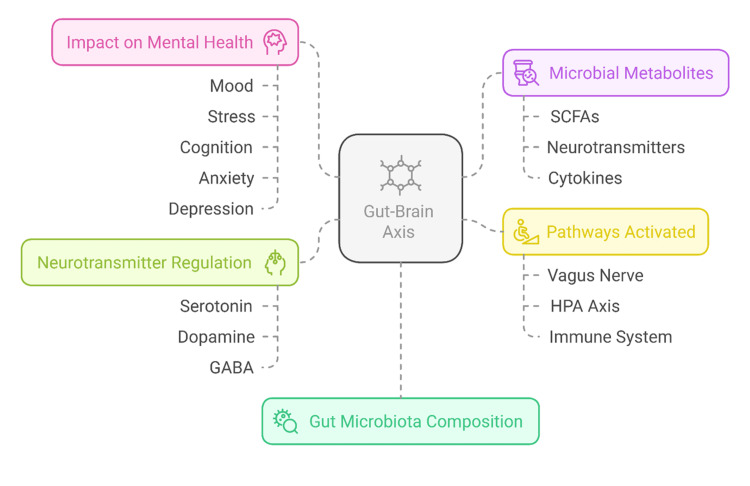 Gut-brain axis mechanism (13)