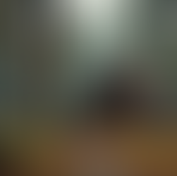 Wellness and Therapy Services Rooted in Indigenous Culture