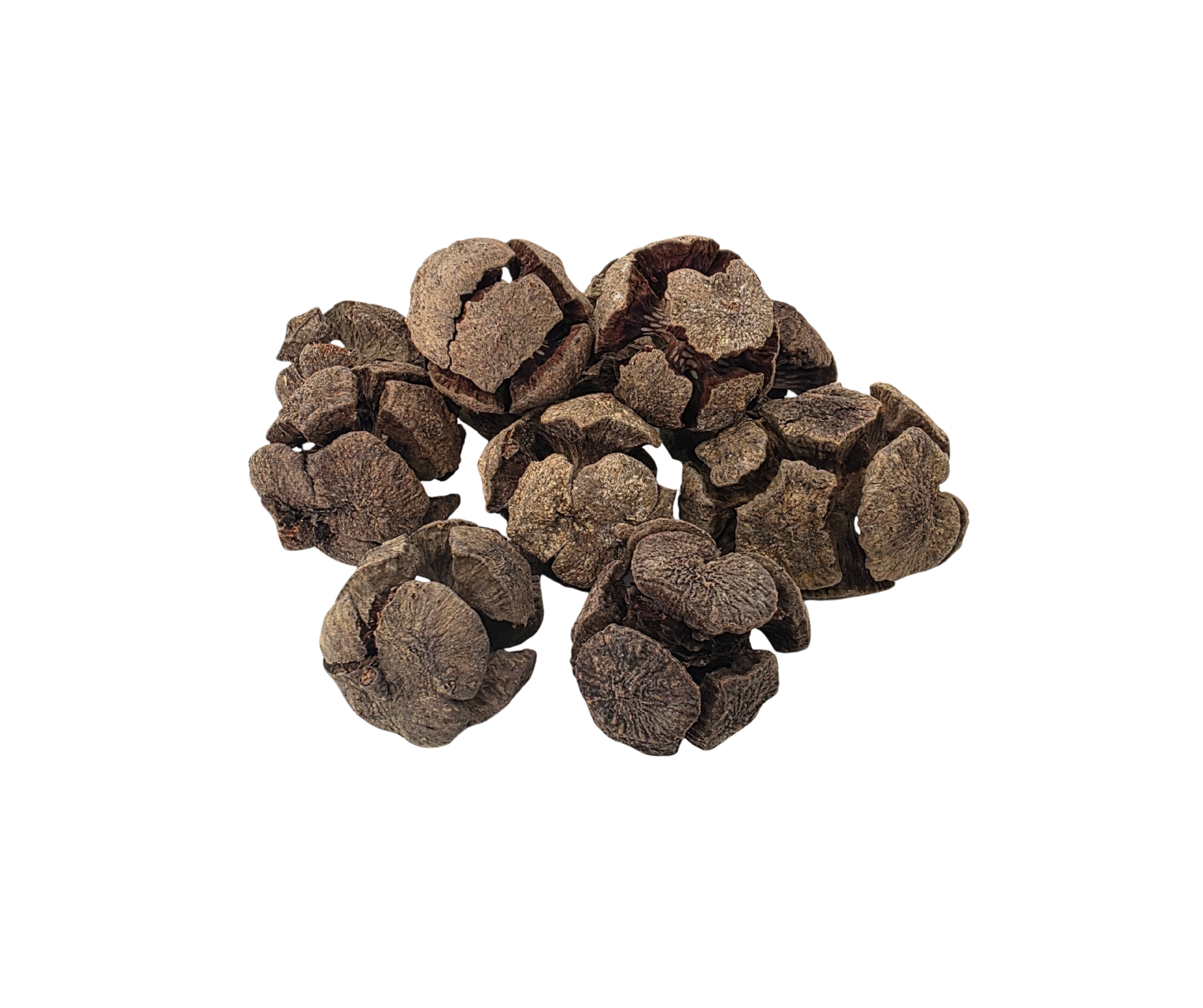 Rustic Cones – Pack of 6