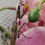 Thumbnail: Parasphendale Affinis - Budwing Mantis