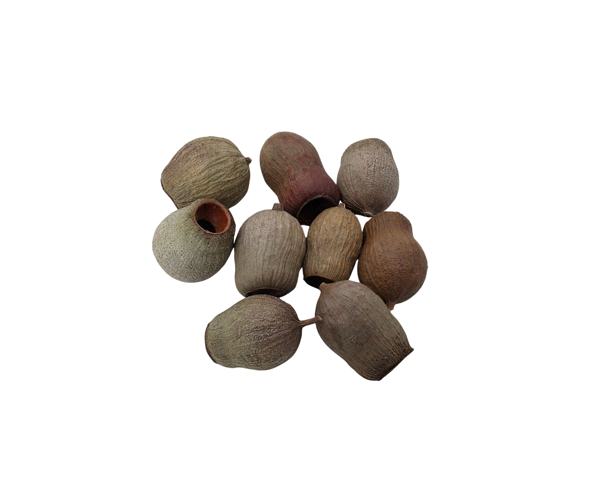 Bell Pods – Pack of 3