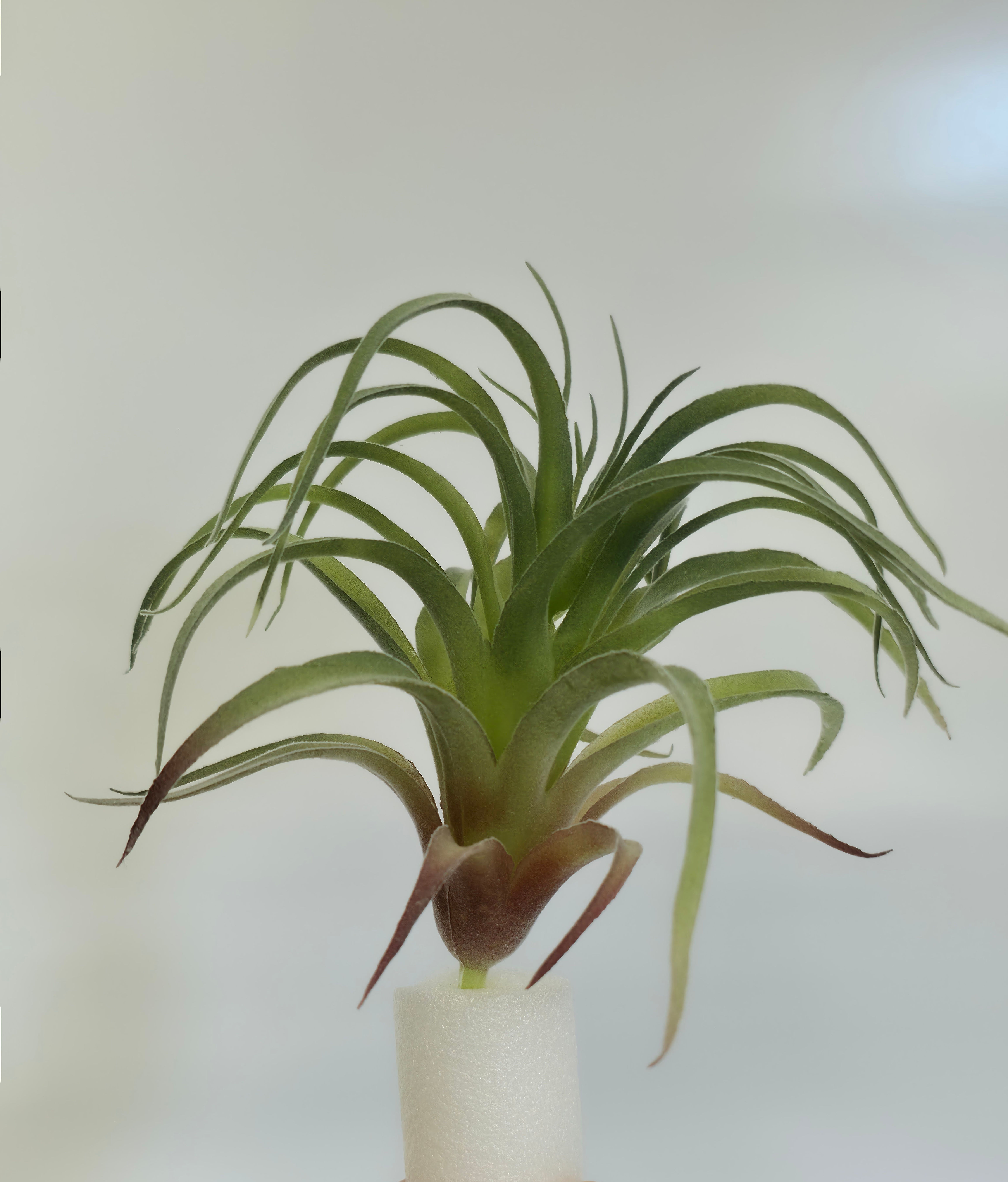 Artificial Air Plant