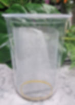 Thumbnail: Praying Mantis Monthly Subscription