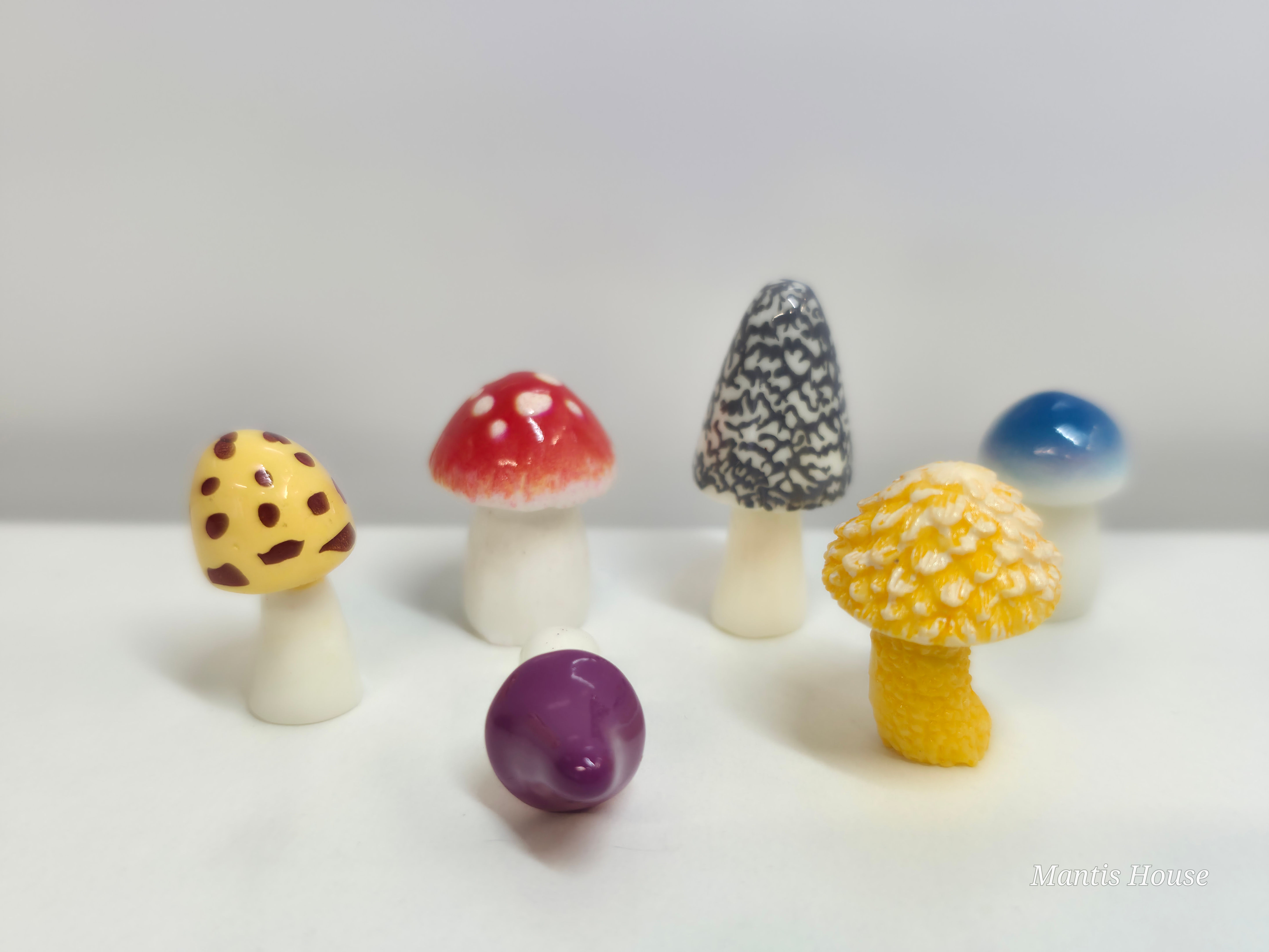 Cute Mushrooms - Jumping Spider Decor!