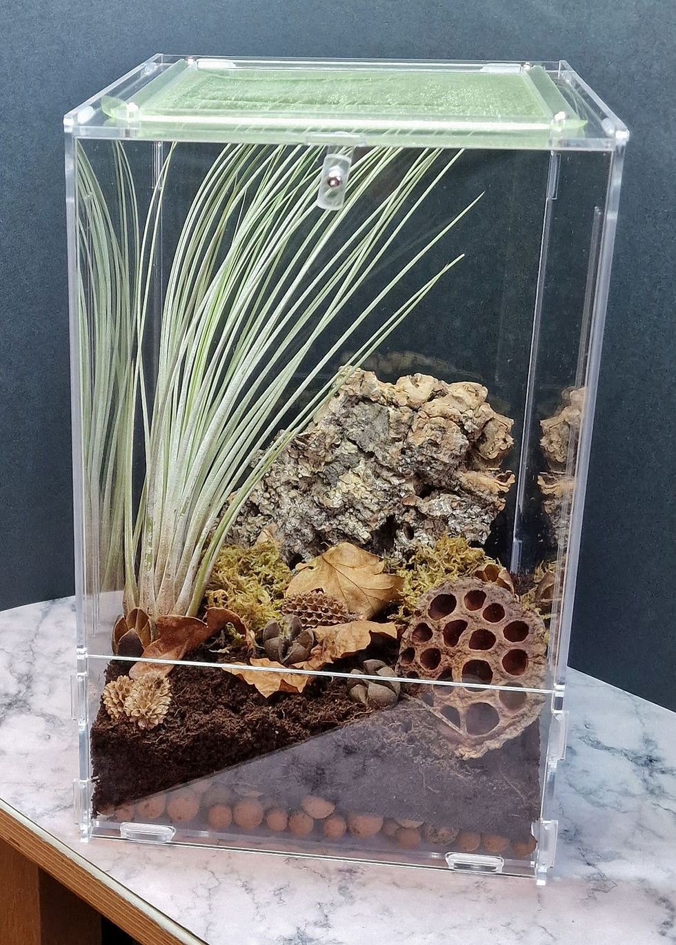 Thumbnail: Mantis Den Large Enclosure