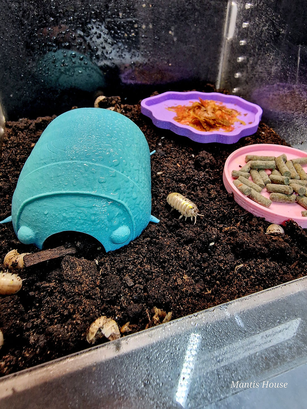 Thumbnail: MH Isopod Feeding Dish