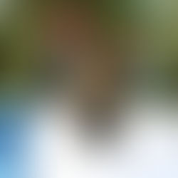 Yerevan Unveils First Inclusive, Eco-Friendly Playground for Children of All Ages