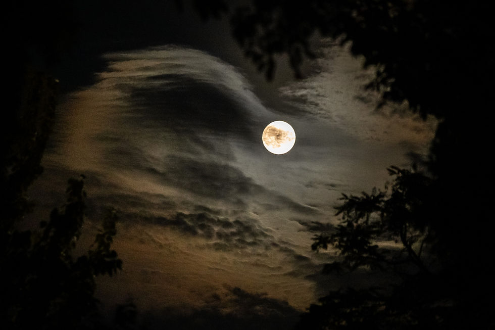 Blue Moon