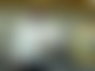 Armenia Wins 7 Gold Medals at the European Weightlifting Championships