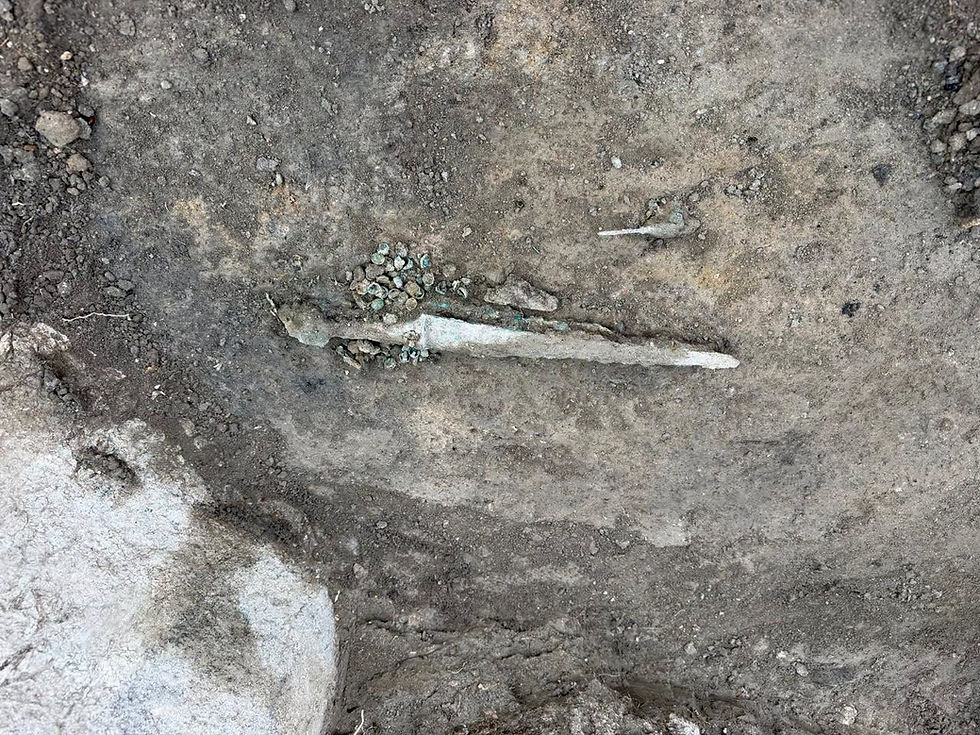 Gold and Coin From Rome’s First Emperor Found in Ancient Armenian Burial Chamber
