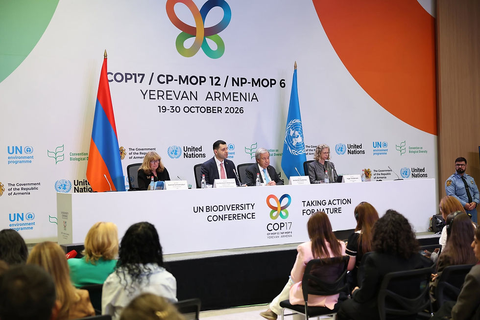 Yerevan Schools Close, Roads Restricted as Armenia Hosts COP17, Welcoming 15,000 Visitors