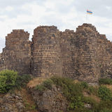 Rare Queen Tamar Coin, Well-Preserved Skeleton and Medieval Board Game Pieces Found at Amberd Fortress