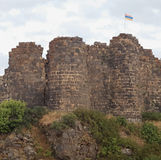 Rare Queen Tamar Coin, Well-Preserved Skeleton and Medieval Board Game Pieces Found at Amberd Fortress