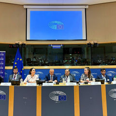 Armenian Political Prisoner's Son Urges EU to Make Prisoners' Release a Condition for Ties With Azerbaijan