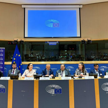 Armenian Political Prisoner's Son Urges EU to Make Prisoners' Release a Condition for Ties With Azerbaijan