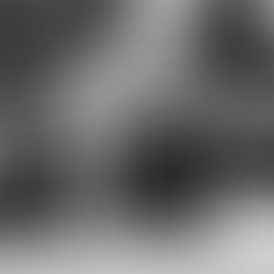 Aliyev Demands Return of Azerbaijanis to Armenia, Calls Republic of Armenia 'Western Azerbaijan,' Raising Sovereignty Concerns