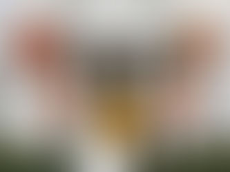 White House Names Pashinyan, Aliyev, Netanyahu Among Leaders Backing Trump for Nobel Peace Prize