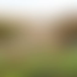 Decades Later, Yerevan's Cascade Complex Remains Unfinished and Under Construction; Now Citizens of Yerevan Can Vote on the Project