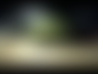 VÍDEO - QUATRO LADRÕES SAQUEIAM CASA DE CAMINHONEIRO EM VILHENA