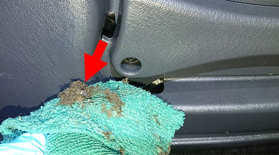 消臭脱臭専門店 タバコ脱臭 中古車 車内クリーニング Steamer S 東京 神奈川 埼玉 消臭脱臭専門店 タバコ脱臭 中古車 車内クリーニング Steamer S 東京 神奈川 埼玉