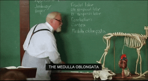 momma GIF.gif