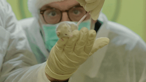 Observa Jordi Baste GIF by No pot ser! TV3.gif