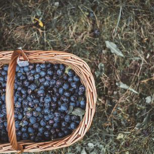 02-08 Phi Nghĩa Và Công Bình