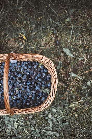 Basket Of Blueberries