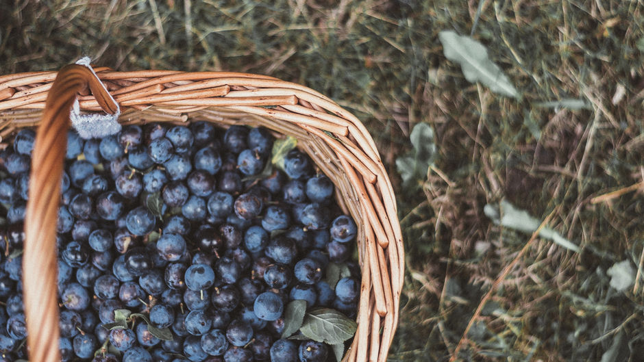 Bitter-süsse Heidelbeeren
