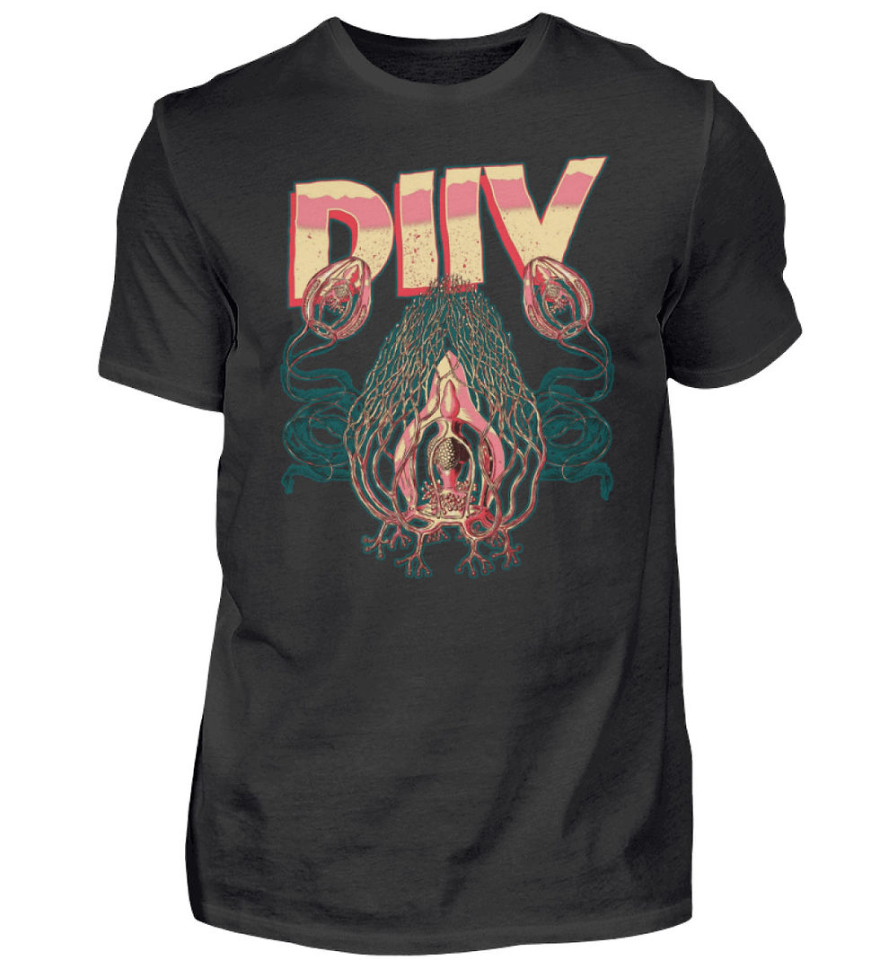 DIIV T-Shirt