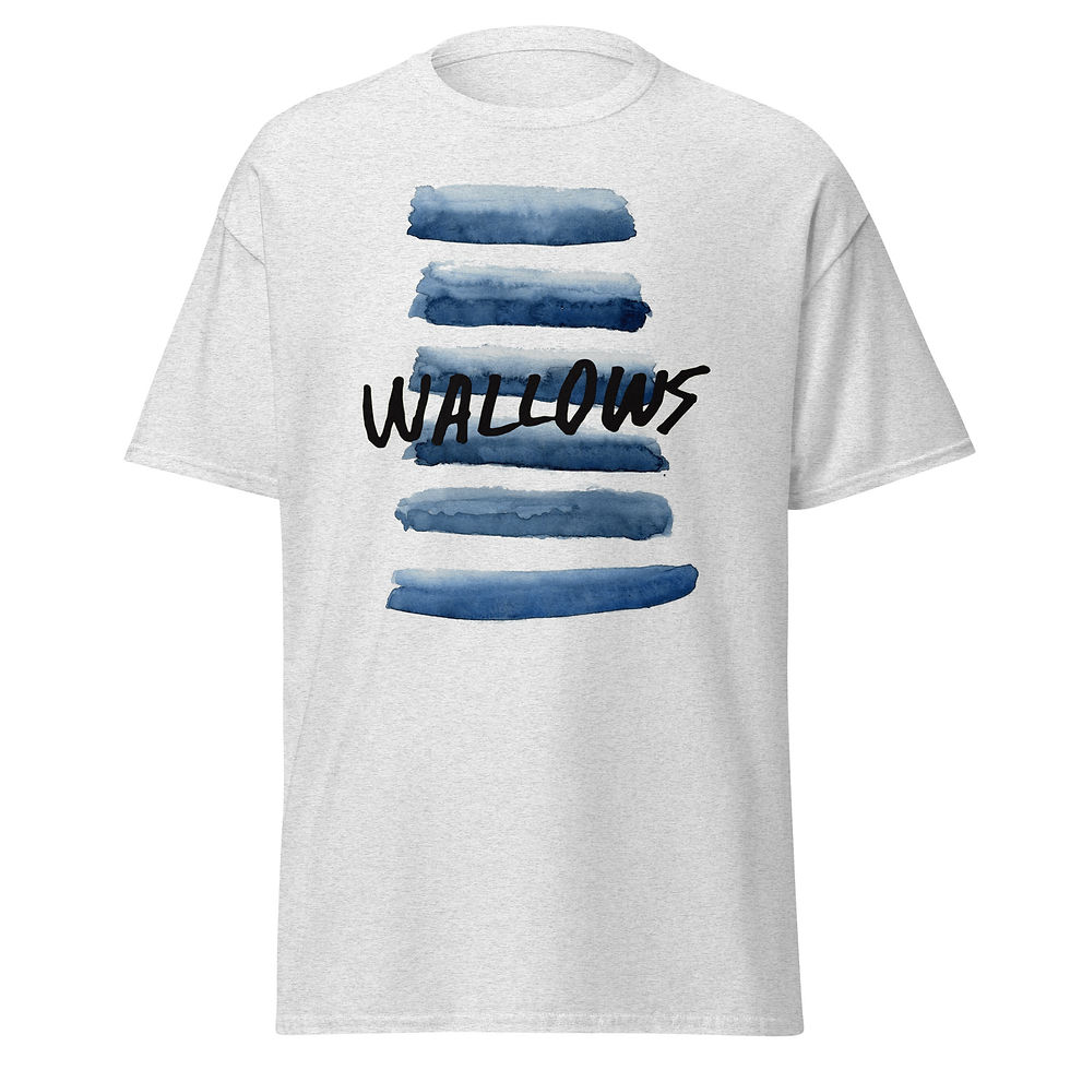 Wallows T-Shirt
