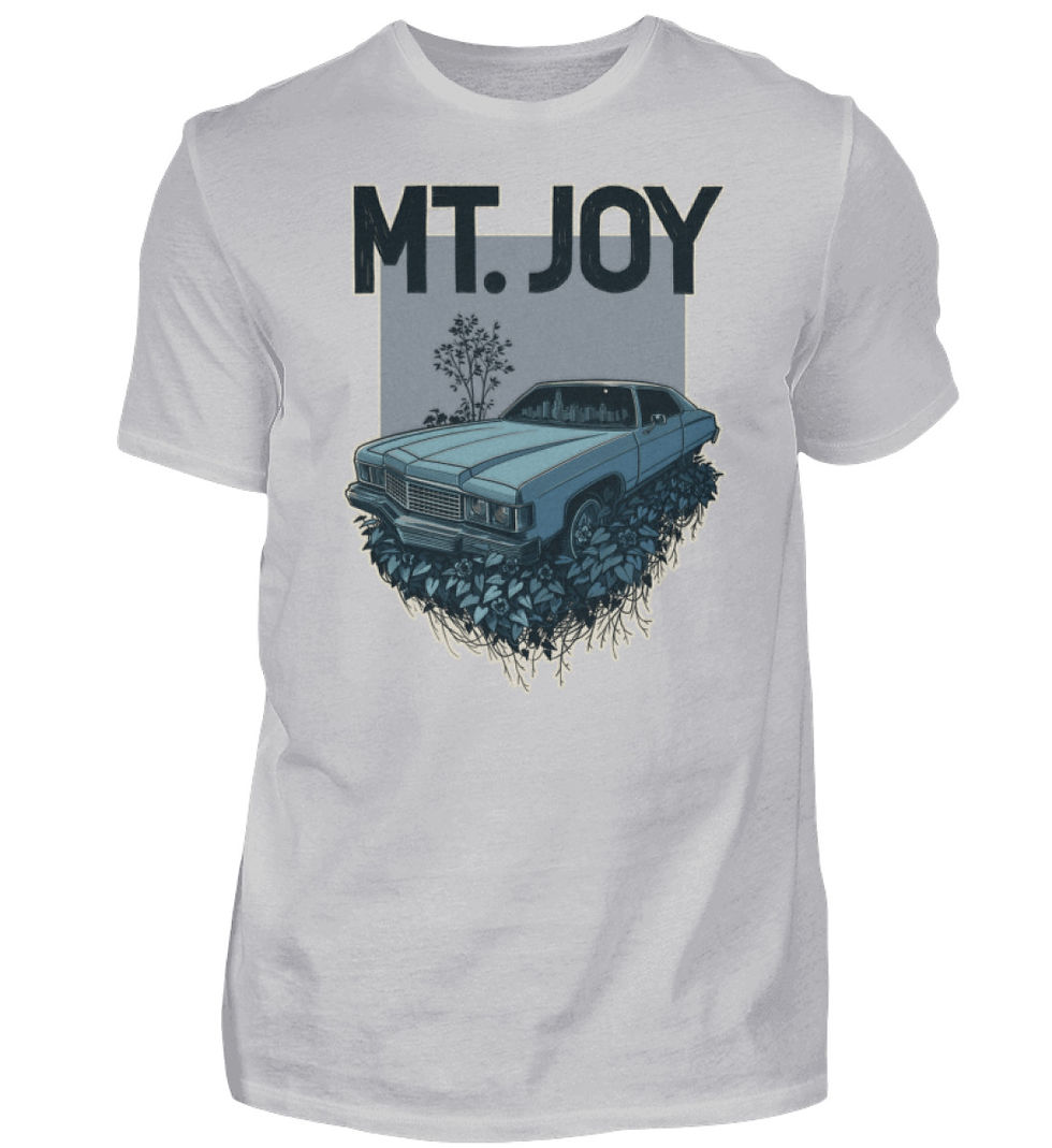 Mt. Joy T-Shirt Men