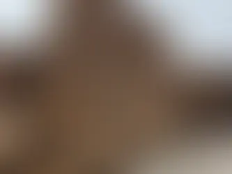 ikinci el palet,ikinci el ahşap palet, ikinci el palet izmir, ikinci el palet alım satım, izmir ikinci el palet, izmir ikinci el palet, ikinci el tahta palet, palet ikinci el,tahta palet ikinci el 