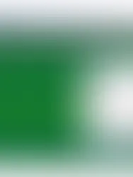 İzmir'de Büyük Şirketler Hangi Muhasebe Programını Kullanıyor ? , Büyük Şirketler Hangi Muhasebe Programını Kullanıyor ?