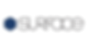 logo surface.png
