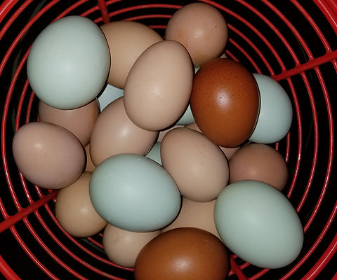 eggs.jpg