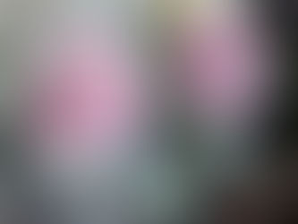 ロウの花のレッスン 彩色のあと