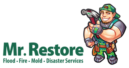 Mr. Restore Vector Opt 2-01.png