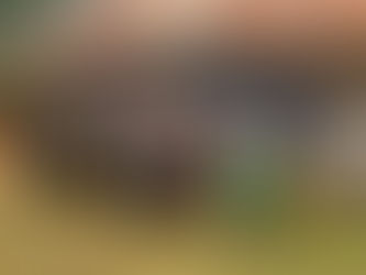 December 2025 Newsletter Available!