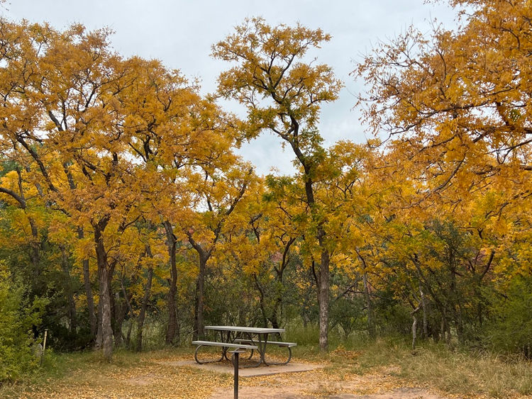 Fall foliage at the Soapberry picnic and day use area