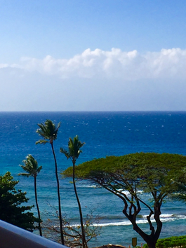 Maui Paradise: Trek to the Top of Haleakalā