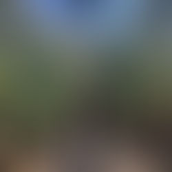 A Beginner's Guide to Backpacking