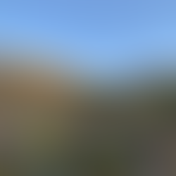 Hayley around mile 210