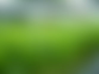 Hydroponic Farming Benefits for Sustainable Agriculture