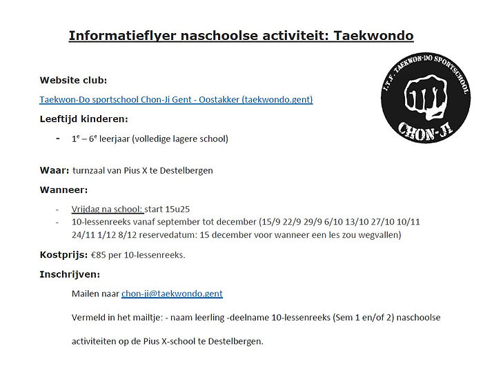 flyer taekwondo.JPG