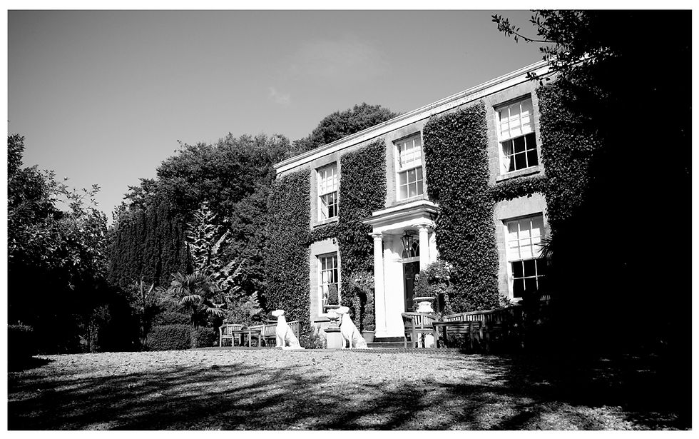 jayne dennis wedding photography