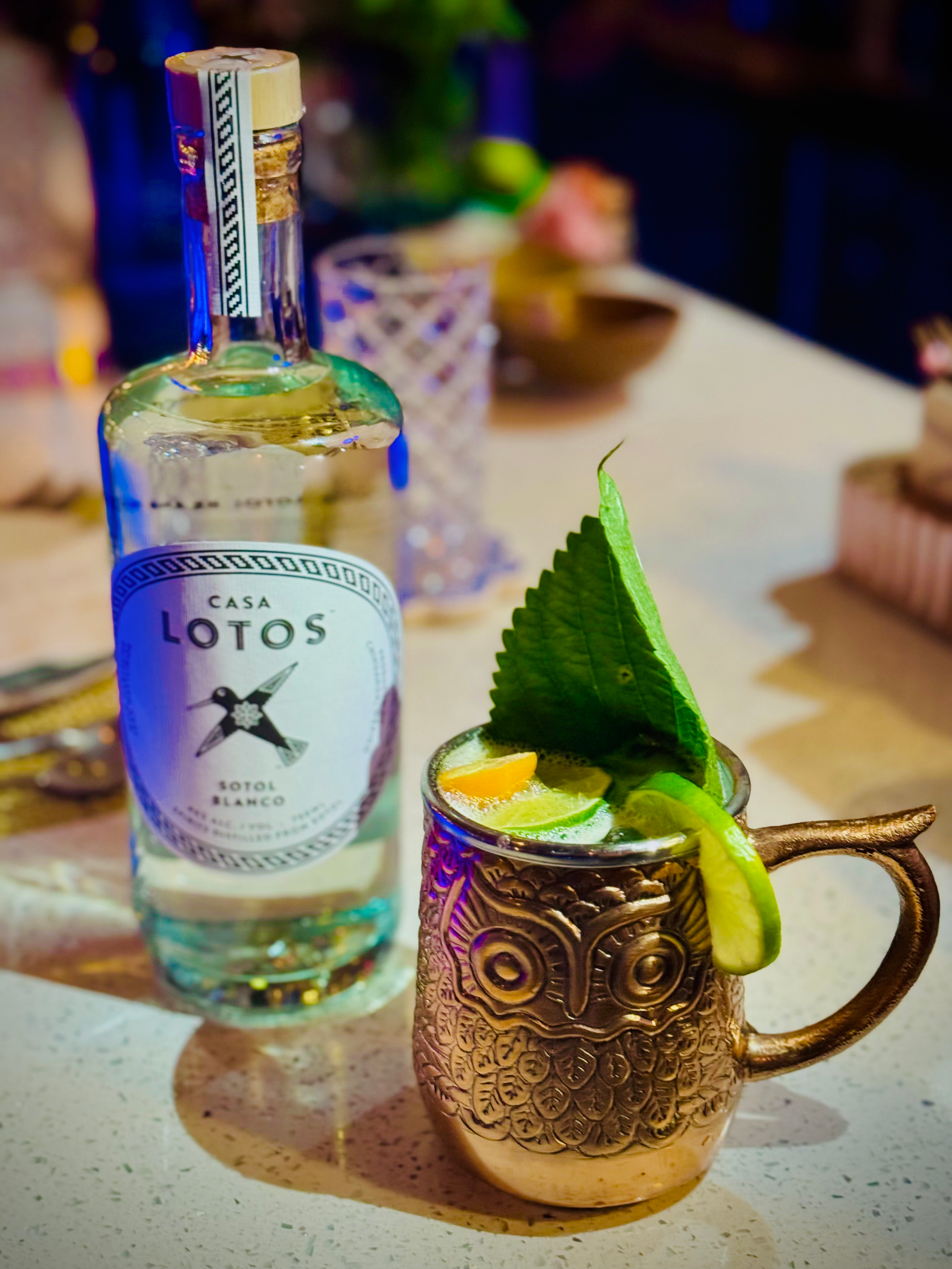 Arranged Food and Objects