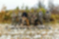 Messenger_creation_9AD87FB7-6603-41F5-84F3-B67010990A0A.jpeg
